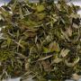 China Hunan Ming Qian JUN SHAN CUI HAO (JADE HAIR) Imperial Green Tea China Hunan Ming Qian JUN SHAN CUI HAO (JADE HAIR) Imperial Green Tea
