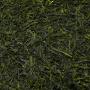 Detailn� obr�zek