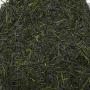 Japan Miyazaki Kobayashi NUTTY SENCHA (Yabukita)