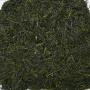 Japan Miyazaki Kobayashi GYOKURO (Yabukita)