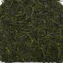 Japan Miyazaki Kobayashi NUTTY SENCHA (Yabukita)