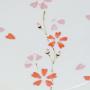 Detailn� obr�zek
