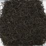 Ceylon Galle Thawalama FBOPFEXSP 1 KANNELIYA Silver Tips