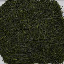 Detailn� obr�zek