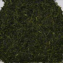 Detailn� obr�zek