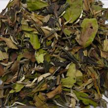 Detailn� obr�zek