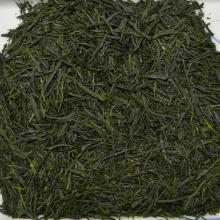 Detailn� obr�zek